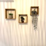 img 4798